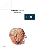 2020 03 18 P6 TRHN - Temporal Region and Retromandibular Fossa