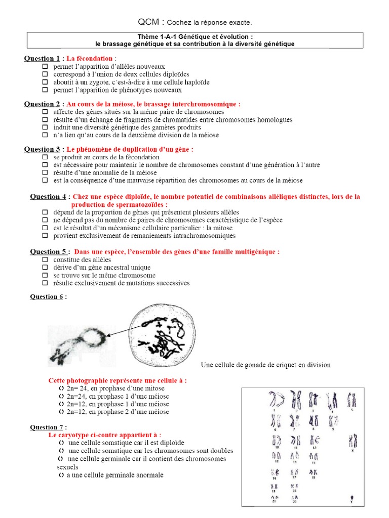 QCM - Cochez La Réponse Exacte | PDF