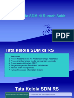 Tata Kelola SDM RS