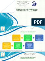 Metabolismo Intermediario y Homeostasis de La Glucosa