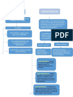 Mapa Conceptual