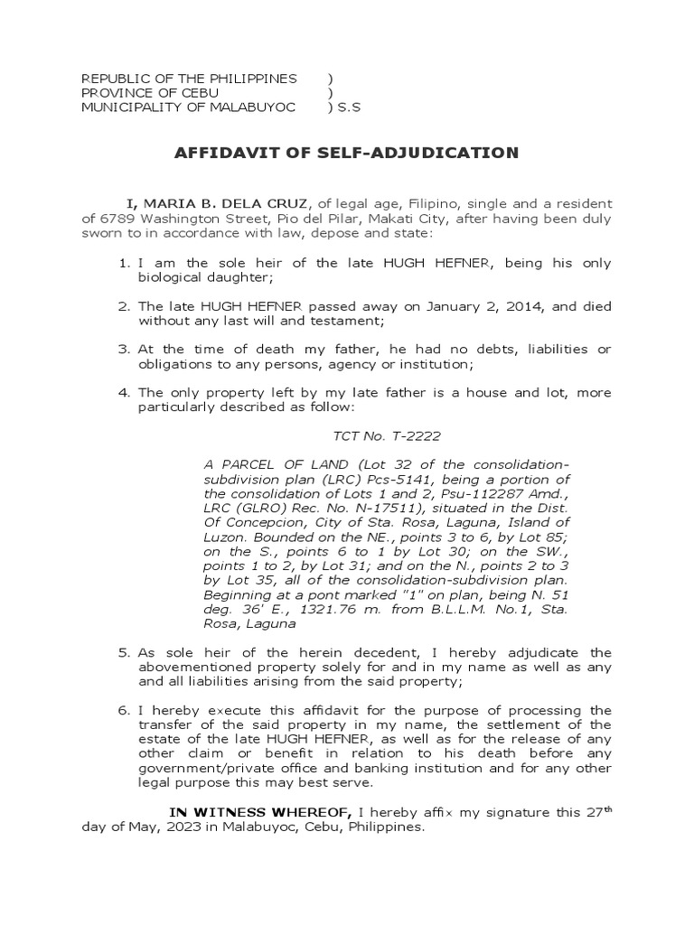 Affidavit of SelfAdjudication PDF Affidavit Document