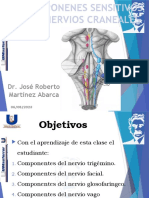 Clase 14. Componentes Sensitivos de Los Nervios Craneales