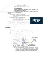 2 - Sistema Nerviós