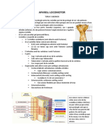 3-Aparell Locomotor