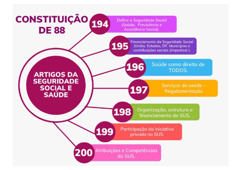 Artigos da Constituição 196 a 200 PDF