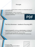 2D Electrophoresis