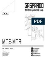 Mte-Mtr 2013 GASPARDO2