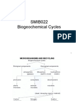 16 - Biogeochemical Cycles Final