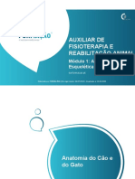 PPT 2 - AFRA - M1