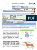 N° 05 Experiencia de Aprendizajes Segundo (Funcion de La Nutricion en Seres Vivos)