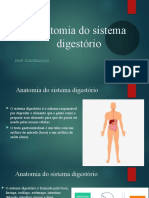 Anatomia Do Sistema Digestório