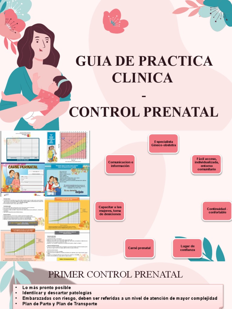 Guía de Práctica Clinica_Control Prenatal | PDF | El embarazo | Parto