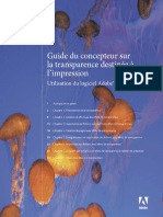 Guide de La Transparence CS3