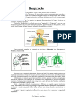 Respiração 2020