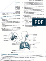 2.1 respiratory system