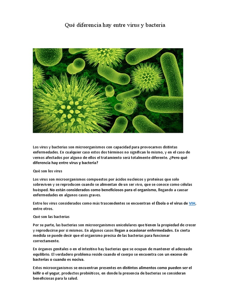 Diferencia Virus y Bacteria | PDF | Salud y bienestar | Ciencia y  matemáticas