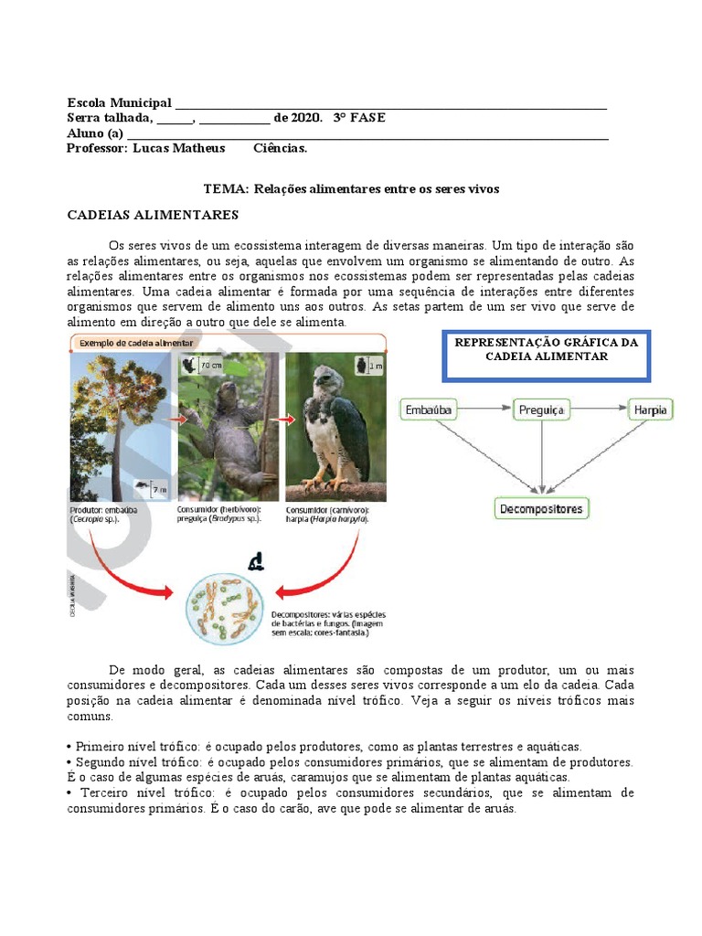 Relações Alimentares Entre Os Seres Vivos | PDF | Organismos | Natureza