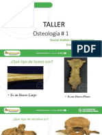 Taller Osteología # 1 Generalidades y Columna Vertebral