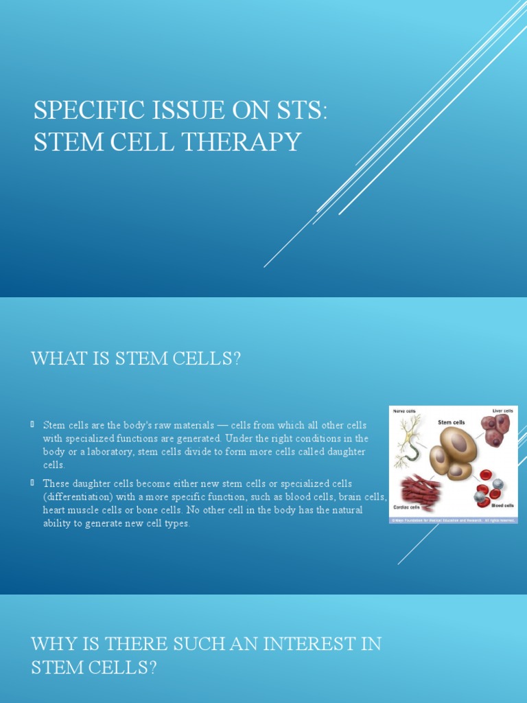 Stem Cell Therapy: Uses and Controversies | PDF | Stem Cell ...