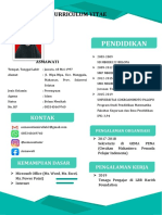 Curriculum Vitae