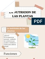 La Nutricion de Las Plantas