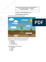 Cópia de Prova Avaliativa 5 Ano Ciencia S