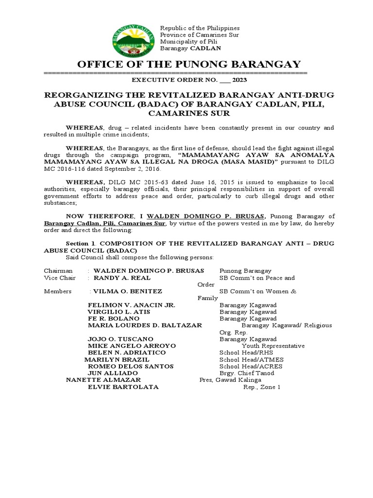 01 Badac 2023 Pdf Government Philippines