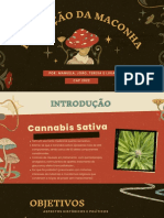 Por Que A Cannabis Foi Criminalizada?