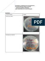 MicroB INFORME 4 Aislamiento y Cuantificación de Microorganismos