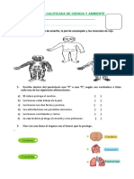 Examne Ciencia 2do