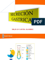 4 Secrecion Gastrica 2023