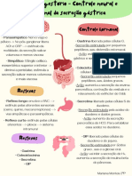 Mapa Mental Sistema Digestivo - Mariana Montes 