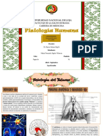 Fisiología Del Tálamo