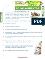 Higiene de Los Alimentos para Segundo Grado de Primaria