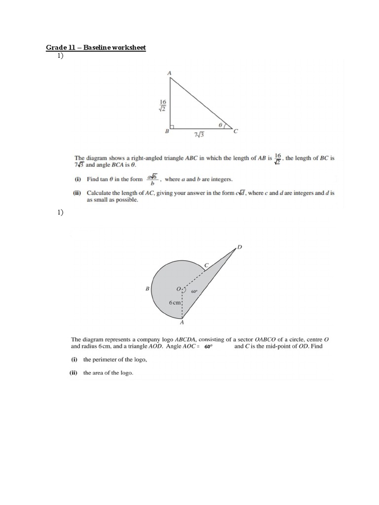 Grade 11 Worksheet Final | PDF