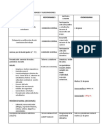 Cronograma de Actividades y Subcomisiones