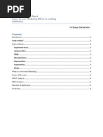 1st Interim Report (DM 06 024)