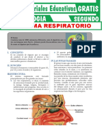 Sistema Respiratorio Para Segundo Grado de Secundaria (1)