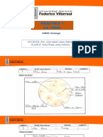 PRACTICA 1 LA Celula-Jordy Anthony Acho Rojas