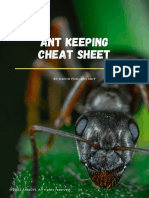 AntsDIY Ant Keeping Cheat Sheet
