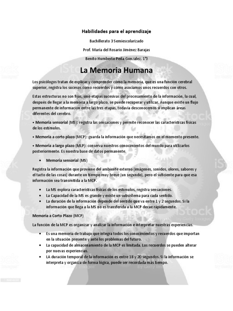 La Memoria Pdf Memoria Aprendizaje