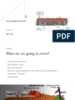 The Plasma Membrane
