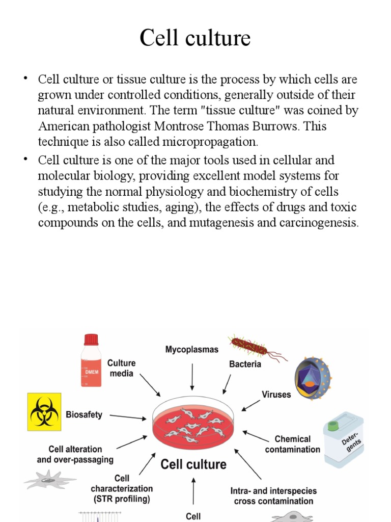 Origin and Principles of Cell Culture PDF