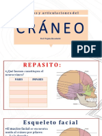 PARTE 2 - Cráneo