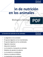 14 Presentacion Funcion Nutricion Animales