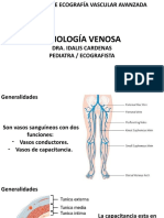 Fisiologia Venosa