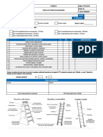 F-Ps-Sgi-38 Inspeccion Pre Uso Escaleras Manuales Ver. 02