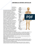 Biomecanica Sistemului Ostero-Articular