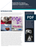 4-LIPOSARCOMA-EN-COBAYO-Cavia porcellus-EN-ARGENTINA-RUTA-DIAGNOSTICO - Y-MANEJO-CLINICO.